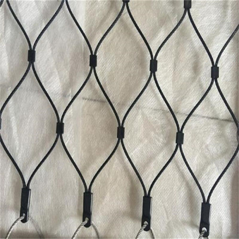 ferruled climber plant trellis mesh stainless steel wire rope mesh