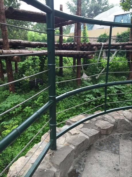 A round fence in the zoo and the fence is made of dark green pipe and silver rope mesh.