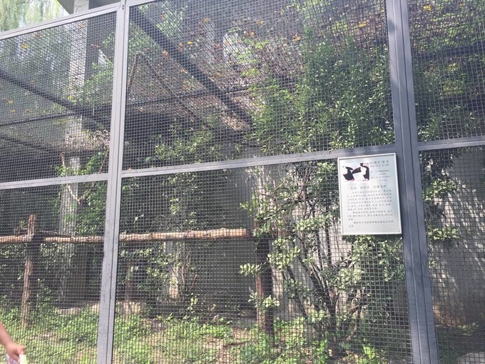A square hole welded aviary mesh with black painting is used as aviary house. In aviary house, green plants are inside.