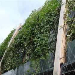 Stainless Steel Green Facades by BMP Eco-Friendliness