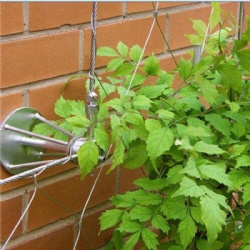 Green Wall Wire Mesh - Perfect for Garden Trellises